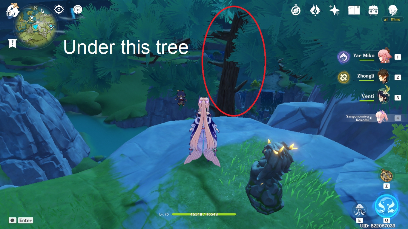 BISHUI PLAIN Wuwang Hill Dragon Statues Pool Hidden Luxurious Chest