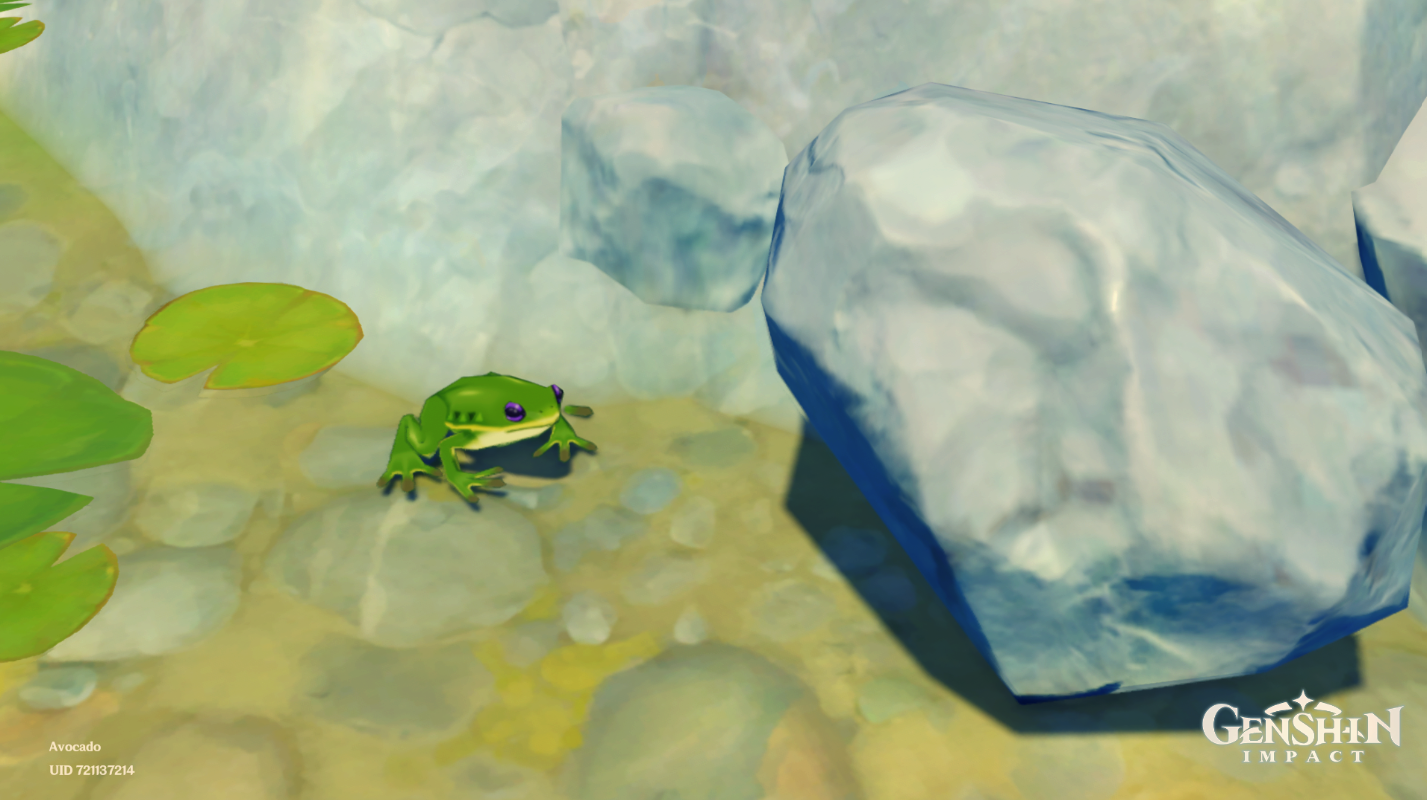 Frog. Genshin Impact HoYoLAB