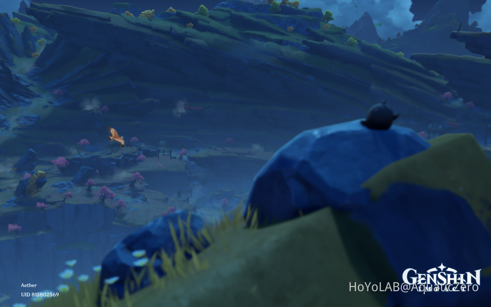 An Eagle Genshin Impact HoYoLAB