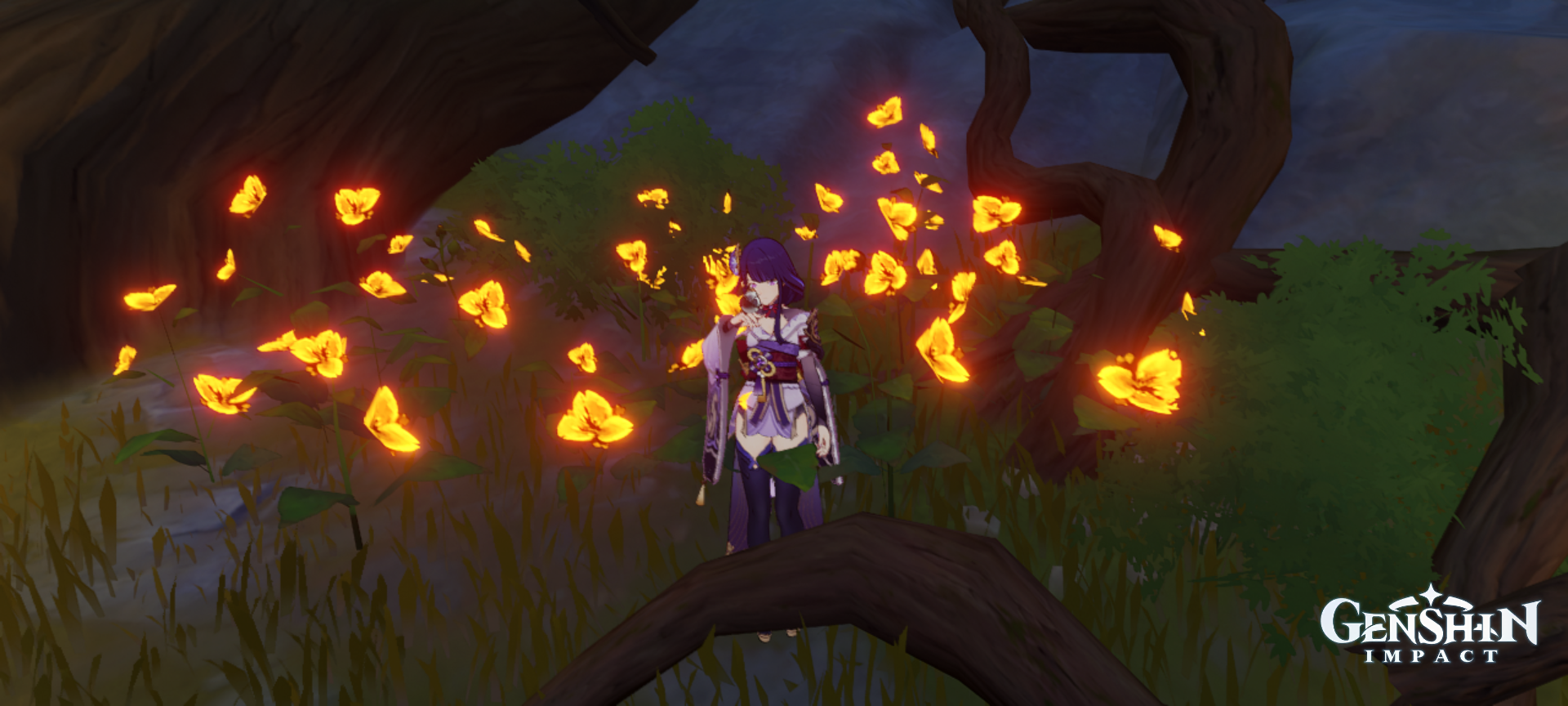 Beautiful Raiden Shogun Genshin Impact | HoYoLAB