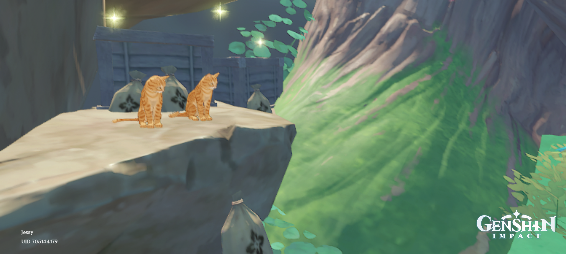 More cats Genshin Impact | HoYoLAB