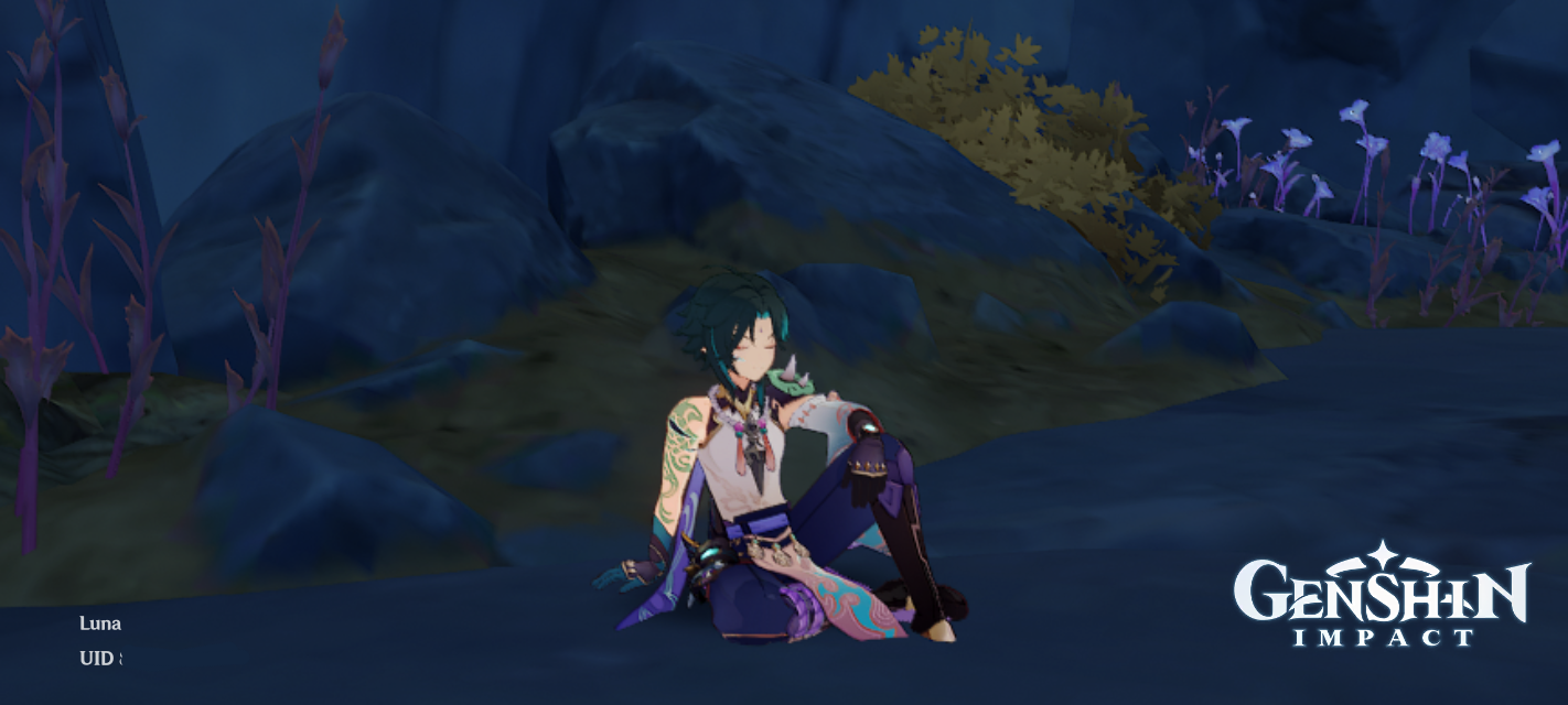 Xiao's sleeping position Genshin Impact HoYoLAB