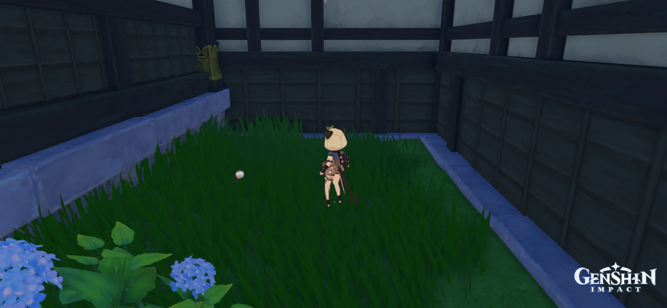 Hidden Chest in Inazuma City Genshin Impact HoYoLAB