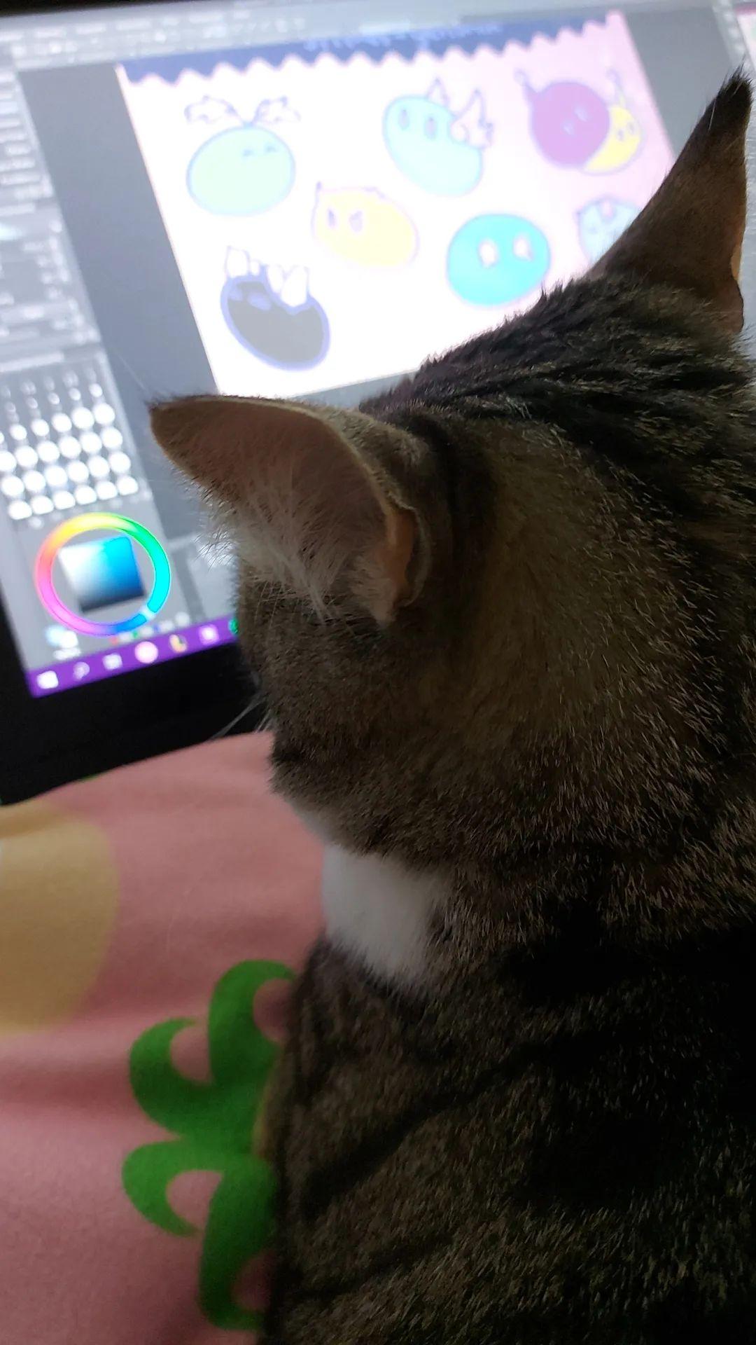 My cat wont let me finish any drawing QwQ Genshin Impact HoYoLAB