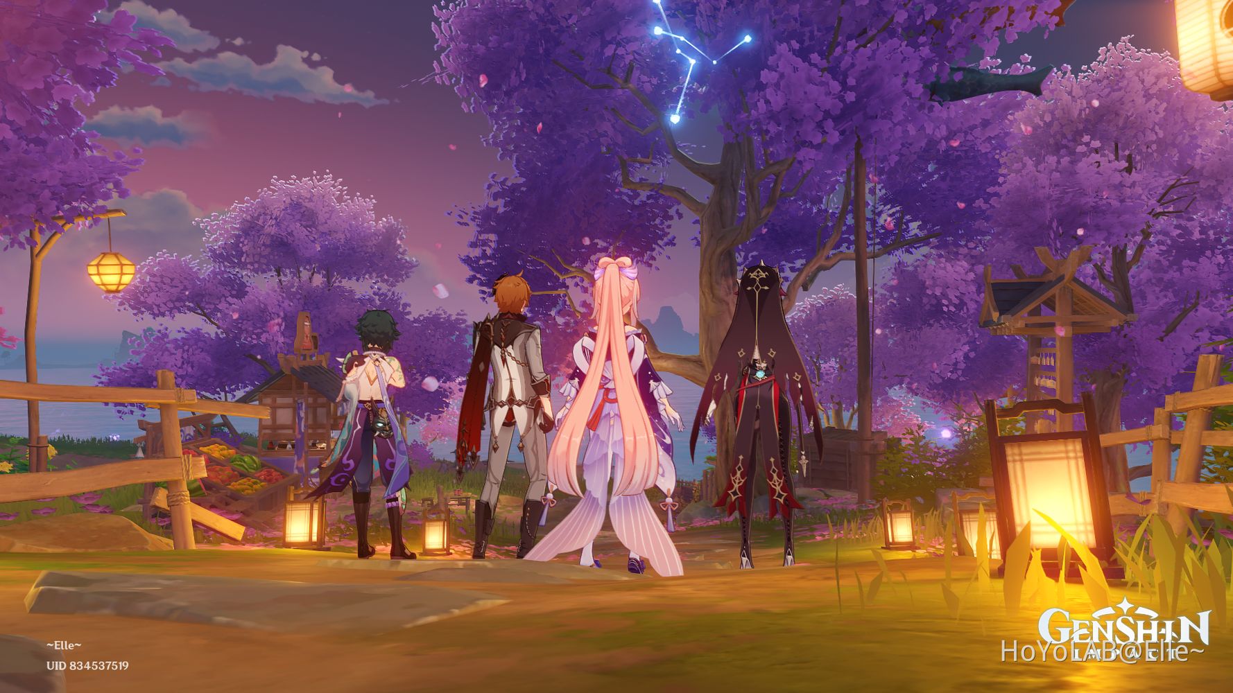  Teapot, Coop, and Unexpected Luck Genshin Impact HoYoLAB