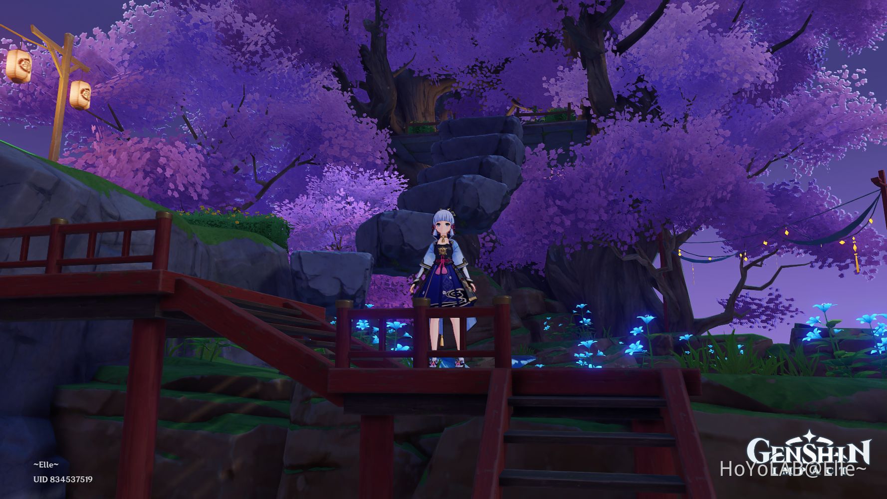  Teapot, Coop, and Unexpected Luck Genshin Impact HoYoLAB