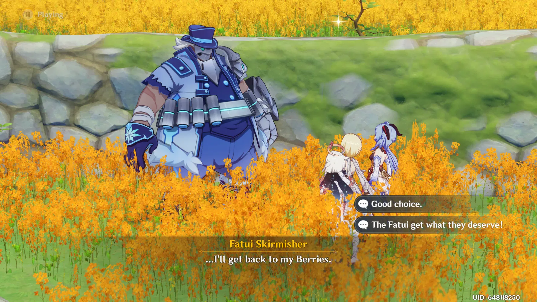 berries? Genshin Impact HoYoLAB