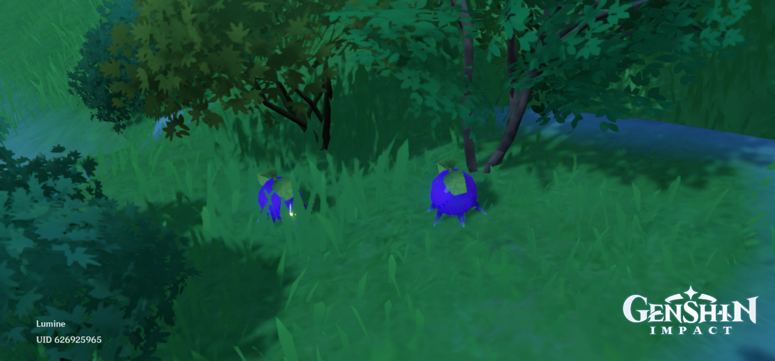 Wolfhook Berries Genshin Impact HoYoLAB