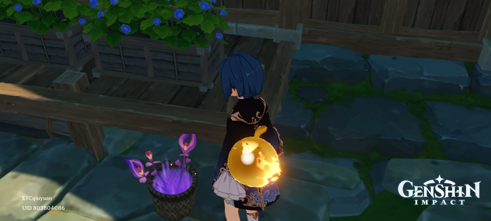 Naku Weed Inazuma Genshin Impact HoYoLAB