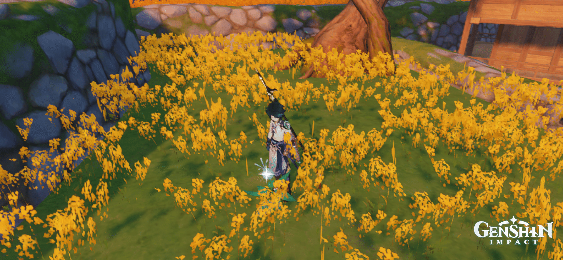 Xiao’s Specialty Discoveries Genshin Impact HoYoLAB