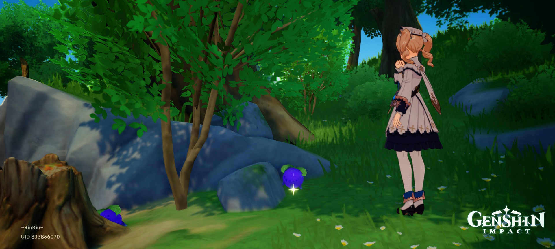 Mondie Regional Specialty Wolfhook Berries.. ^^)/ Genshin Impact