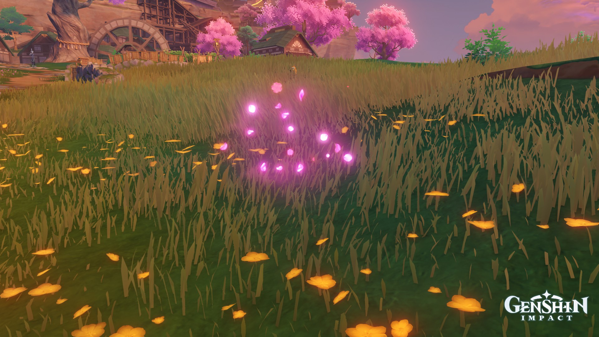 Sakura Bloom Genshin Impact HoYoLAB