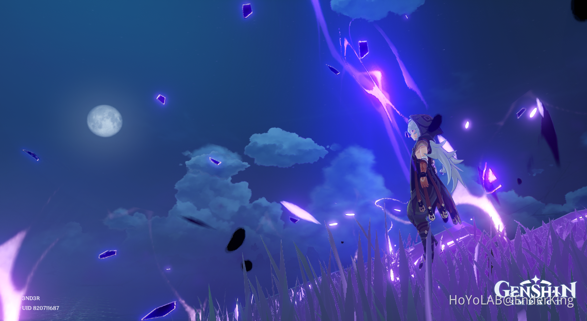 Razor Enjoying the Moon of the Night Sky. Genshin Impact | HoYoLAB