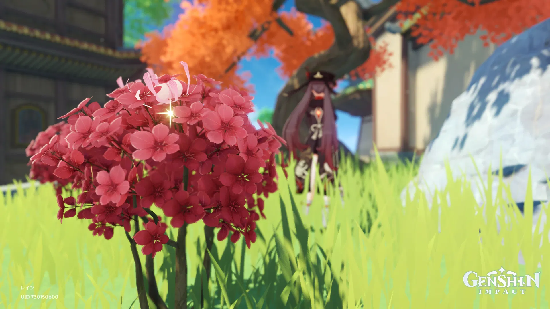 Silk Flower! Genshin Impact HoYoLAB