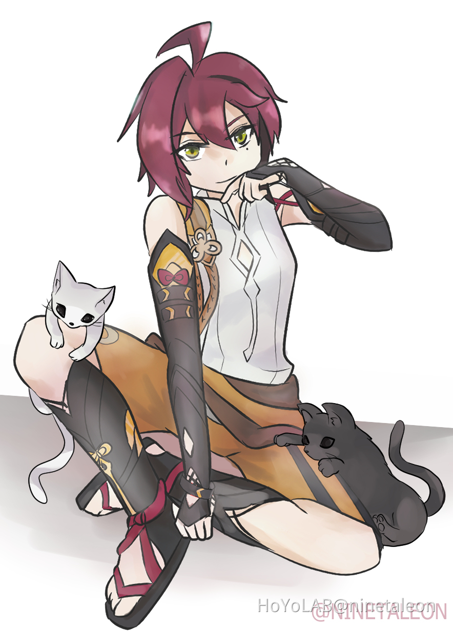 Congrats on being the first catalyst male 👏 Genshin Impact HoYoLAB