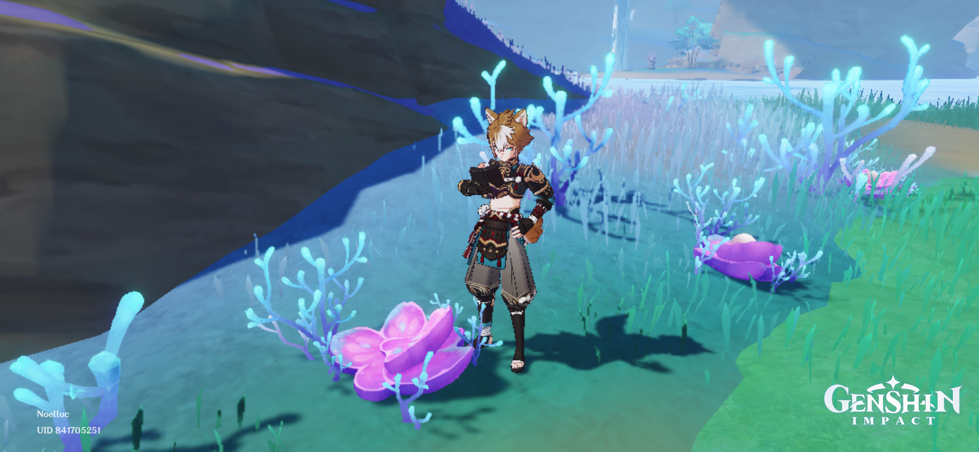 Specialties Inazuma Genshin Impact HoYoLAB