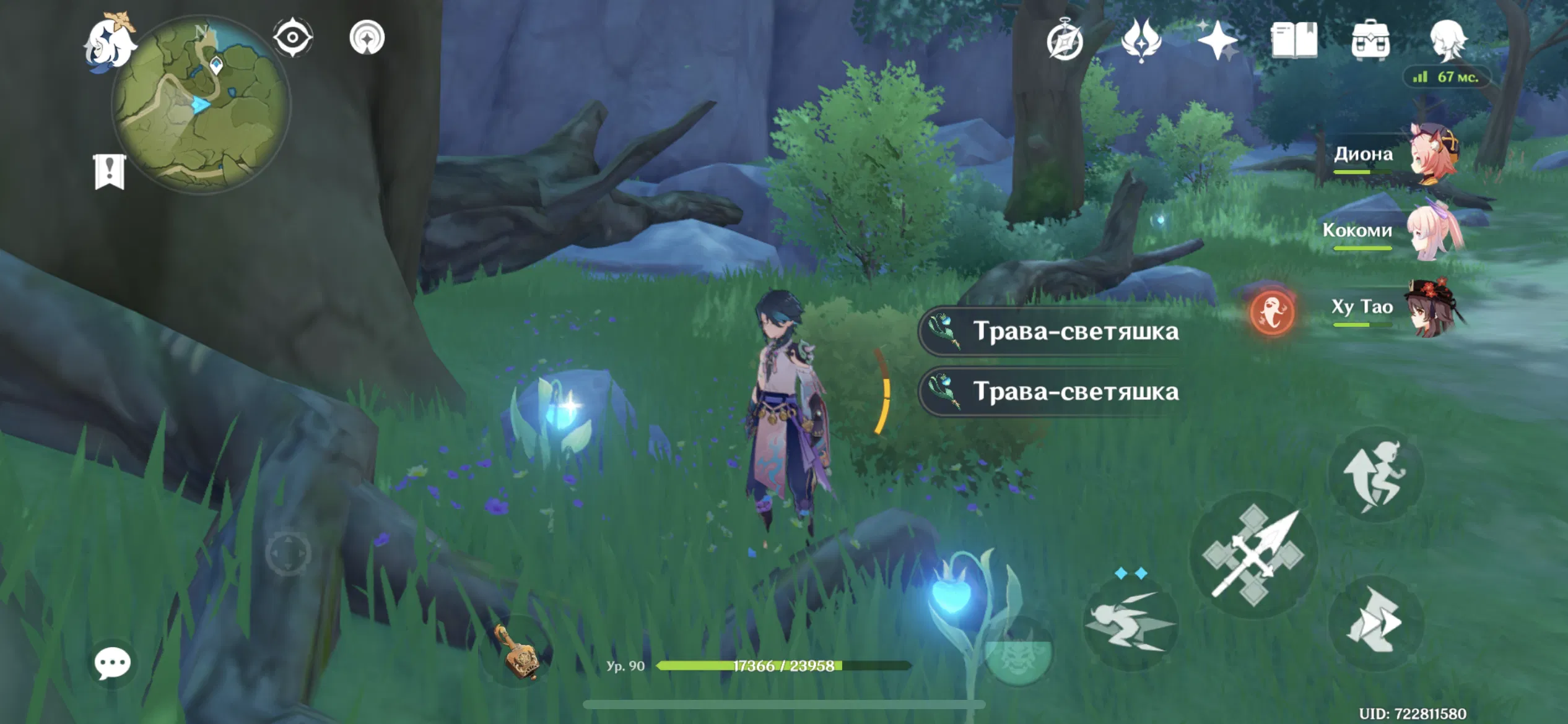 Трава миколайчики