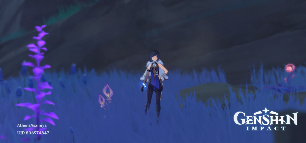 [HoYo Quiz] Inazuma Regional Speciality Naku Weed Genshin Impact