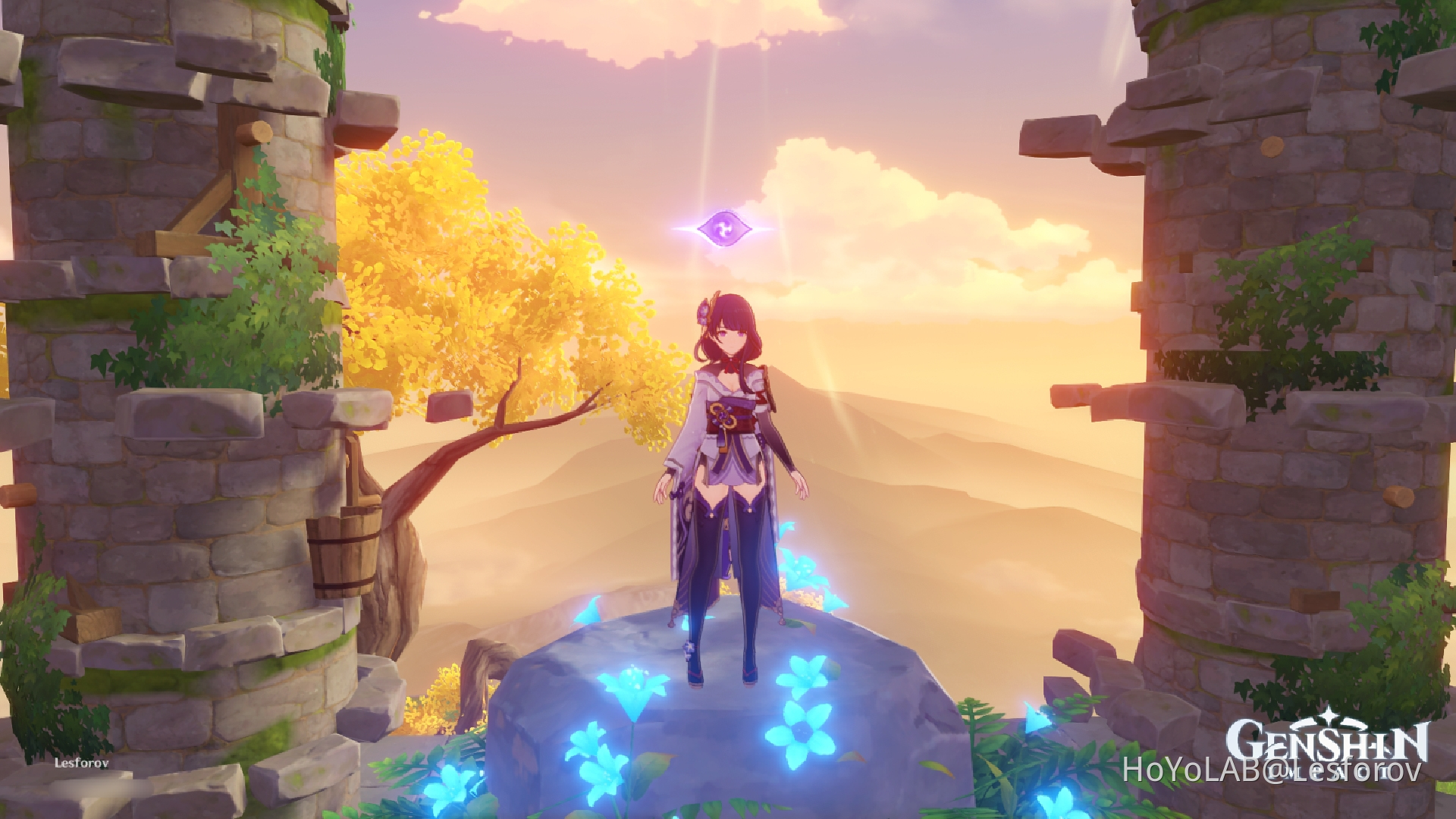 raiden invades another player's teapot Genshin Impact HoYoLAB