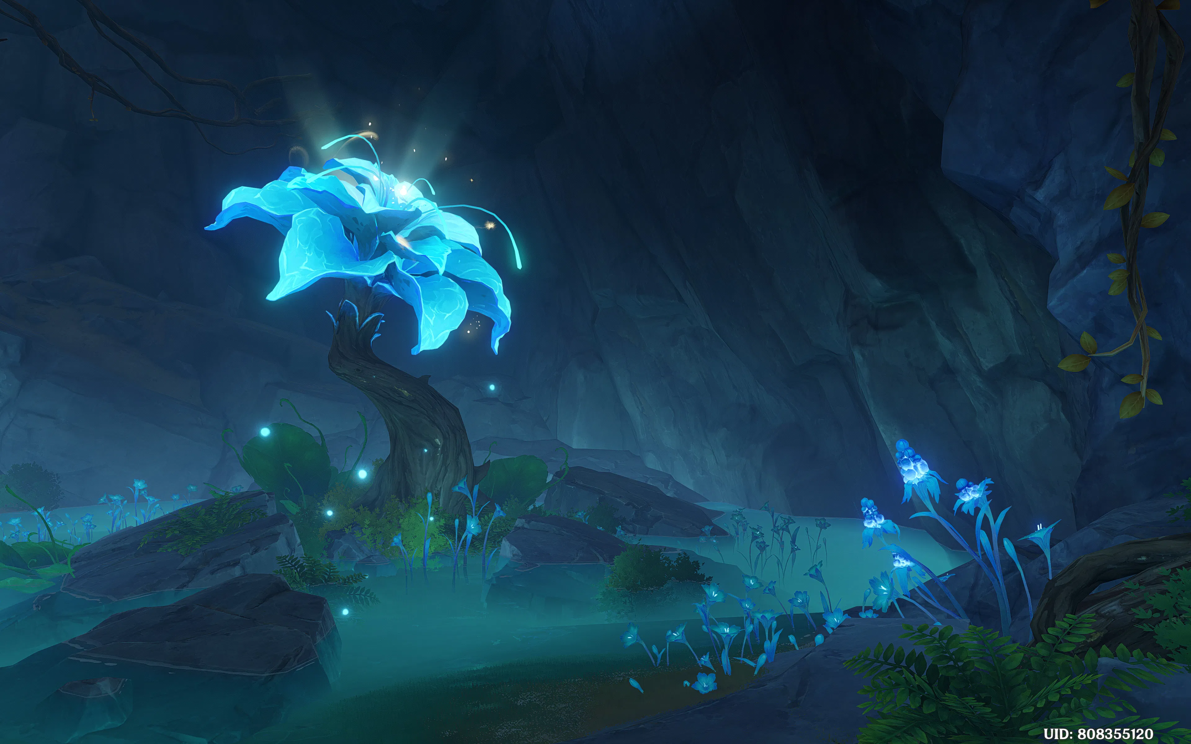 The Islands' Stirring Strings Genshin Impact HoYoLAB