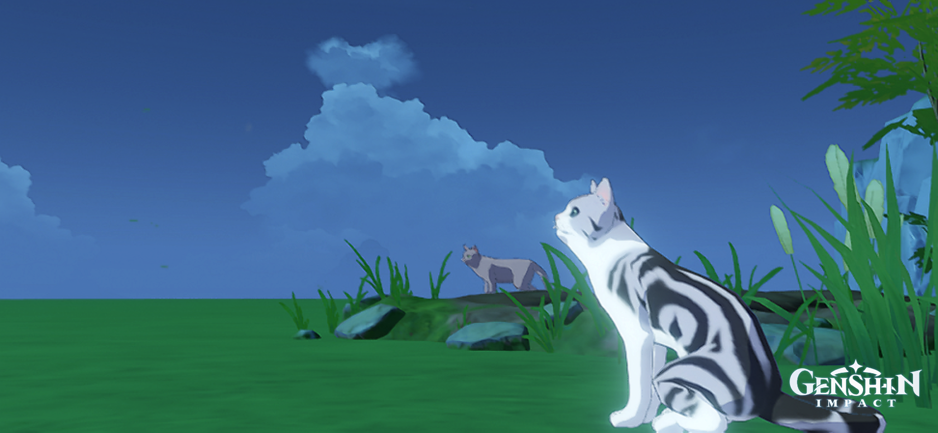 Cats | Genshin Impact | HoYoLAB