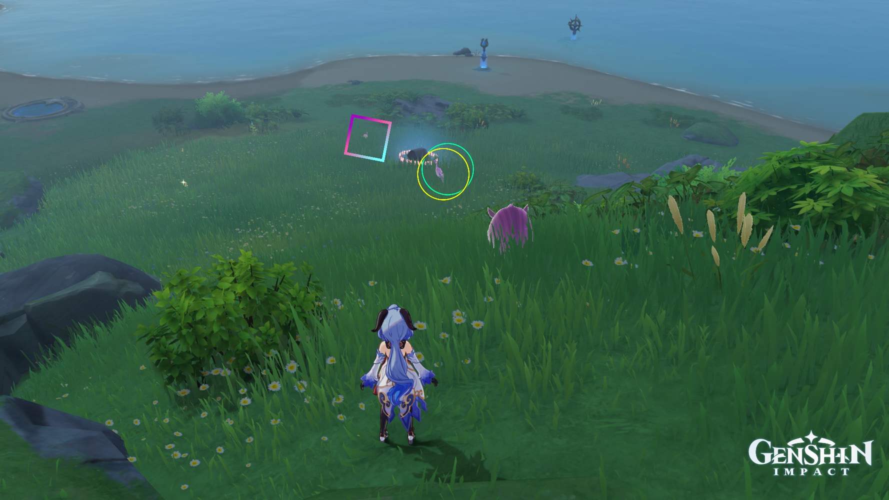 Two Locked Exquisite chests in Minacious Isle Genshin Impact HoYoLAB