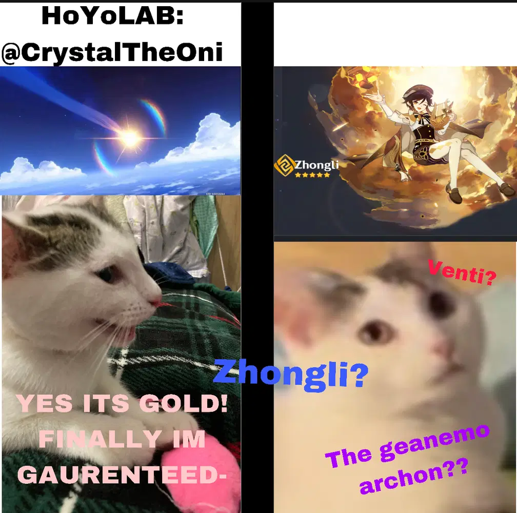 Making memes using pics of my cats #1. Genshin Impact | HoYoLAB, image size:1008x1000