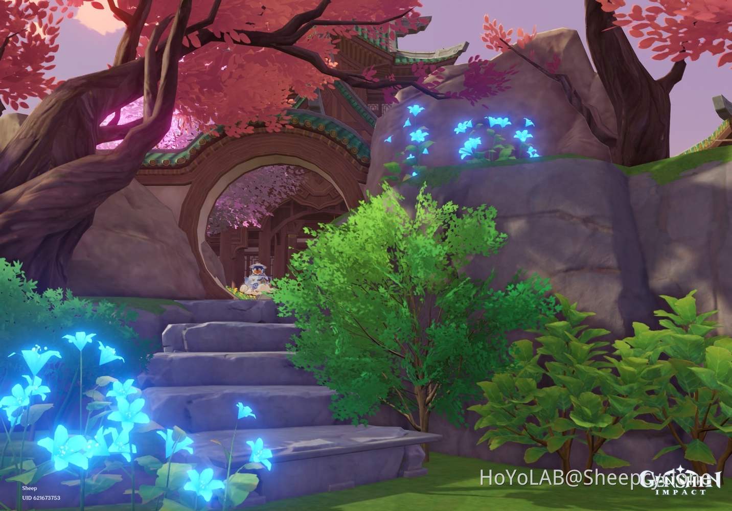 Teapot Showcase Floating Abode, Path to Main Building (86521019673