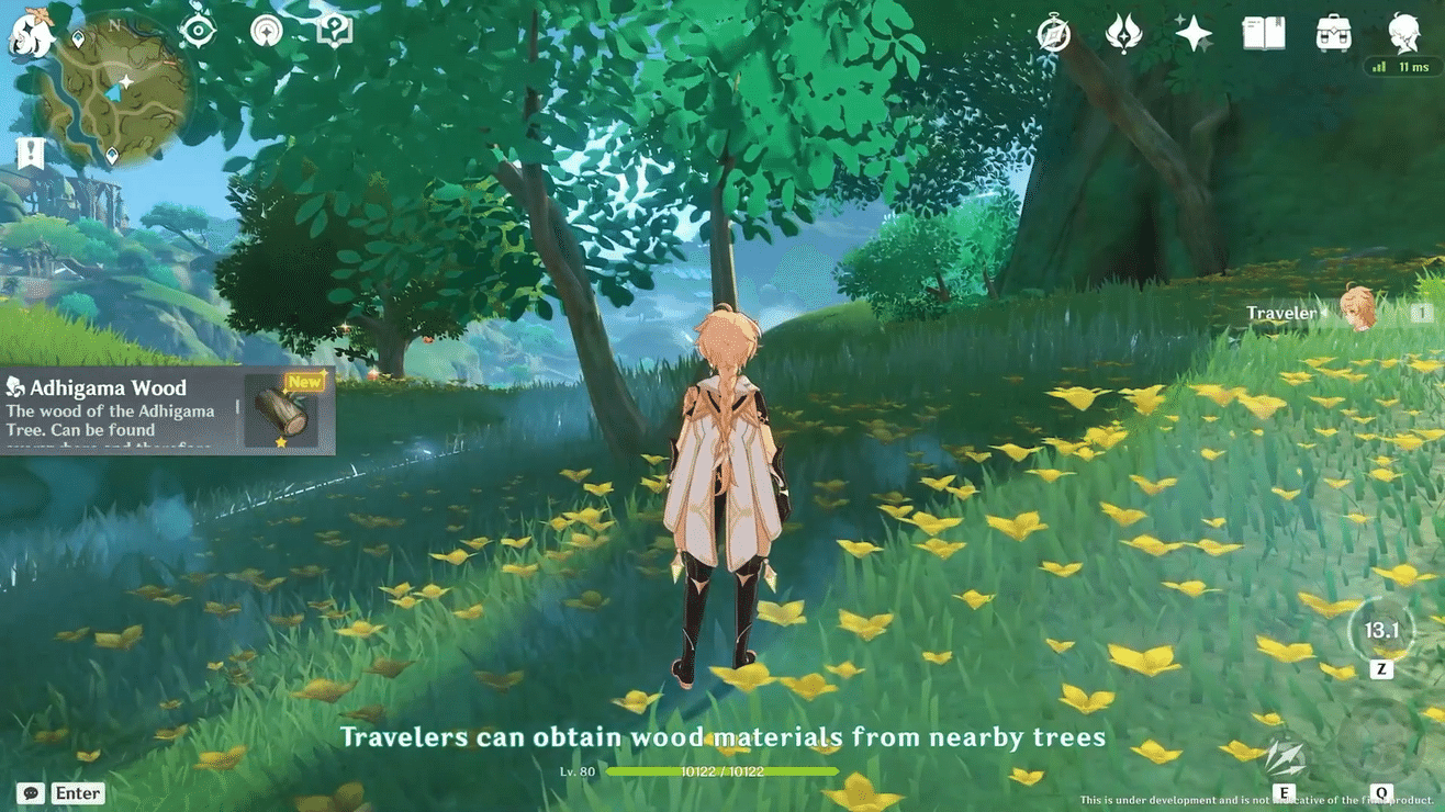 3.0 Special Program Livestream Overview The Morn a Thousand Roses