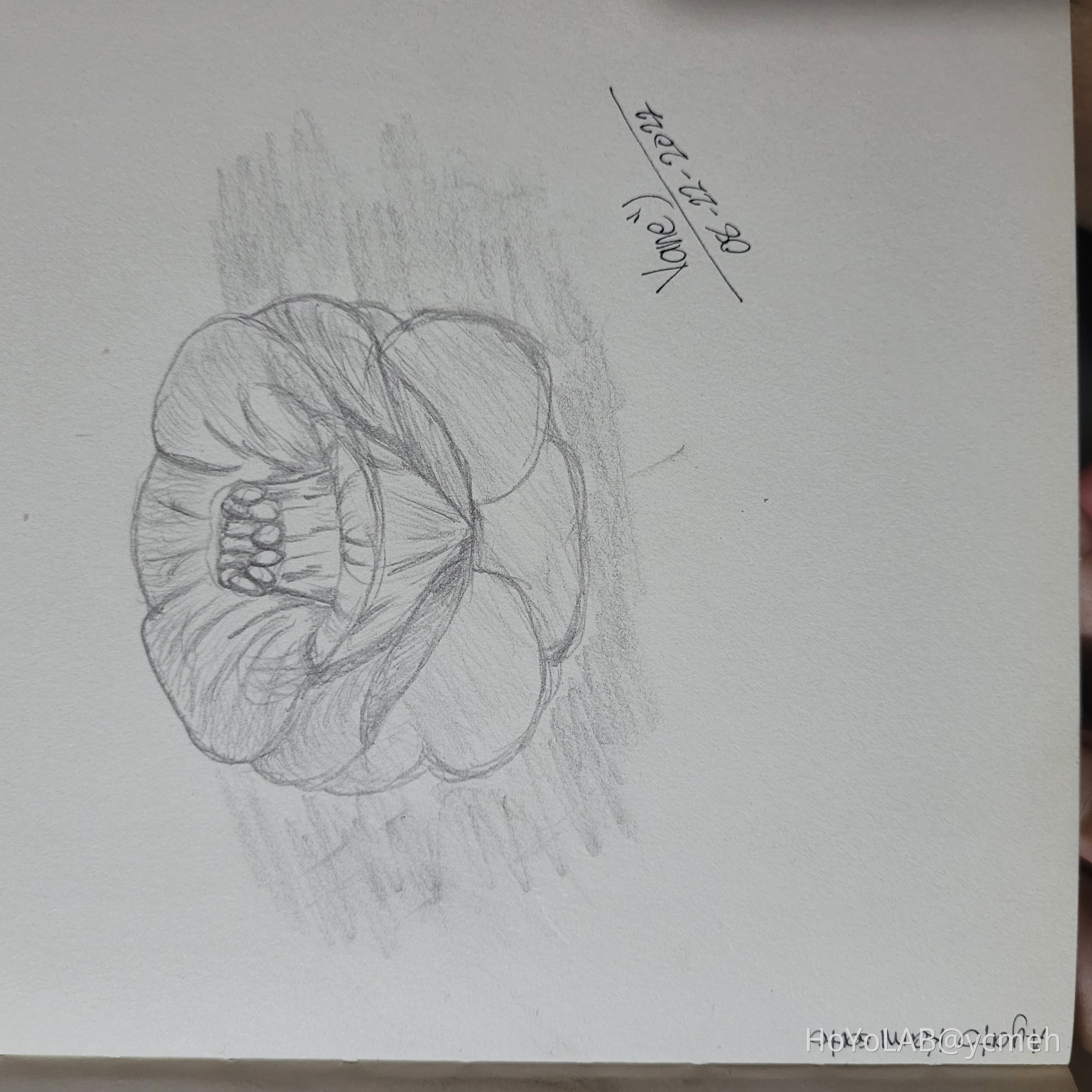 The Kamisato Crest Genshin Impact HoYoLAB