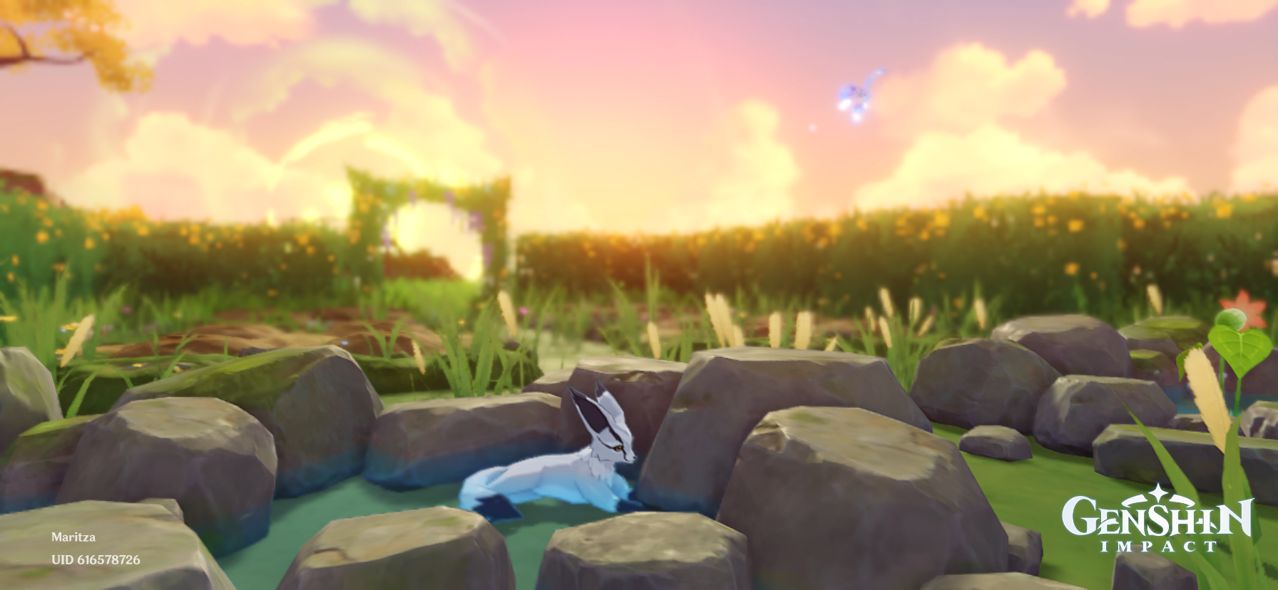 Teapot Garden Genshin Impact HoYoLAB