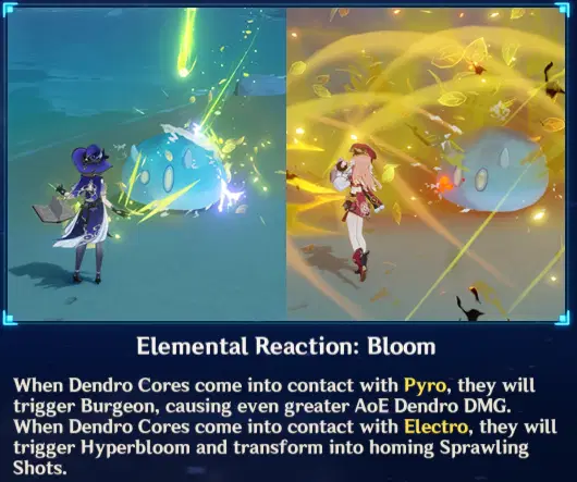 [Version 3.0] Dendro Reactions Explained Genshin Impact | HoYoLAB