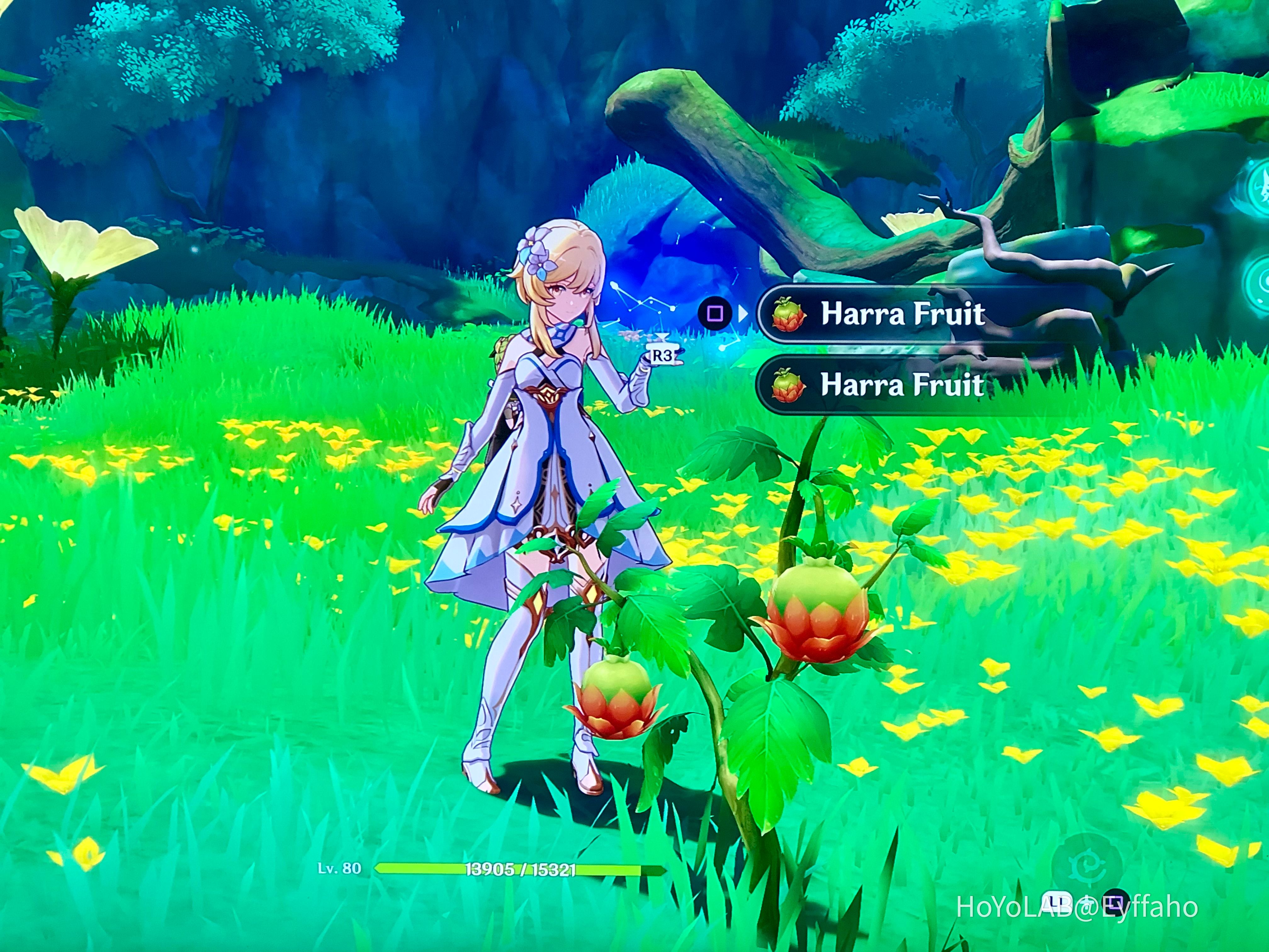 Harra Fruits Genshin Impact HoYoLAB
