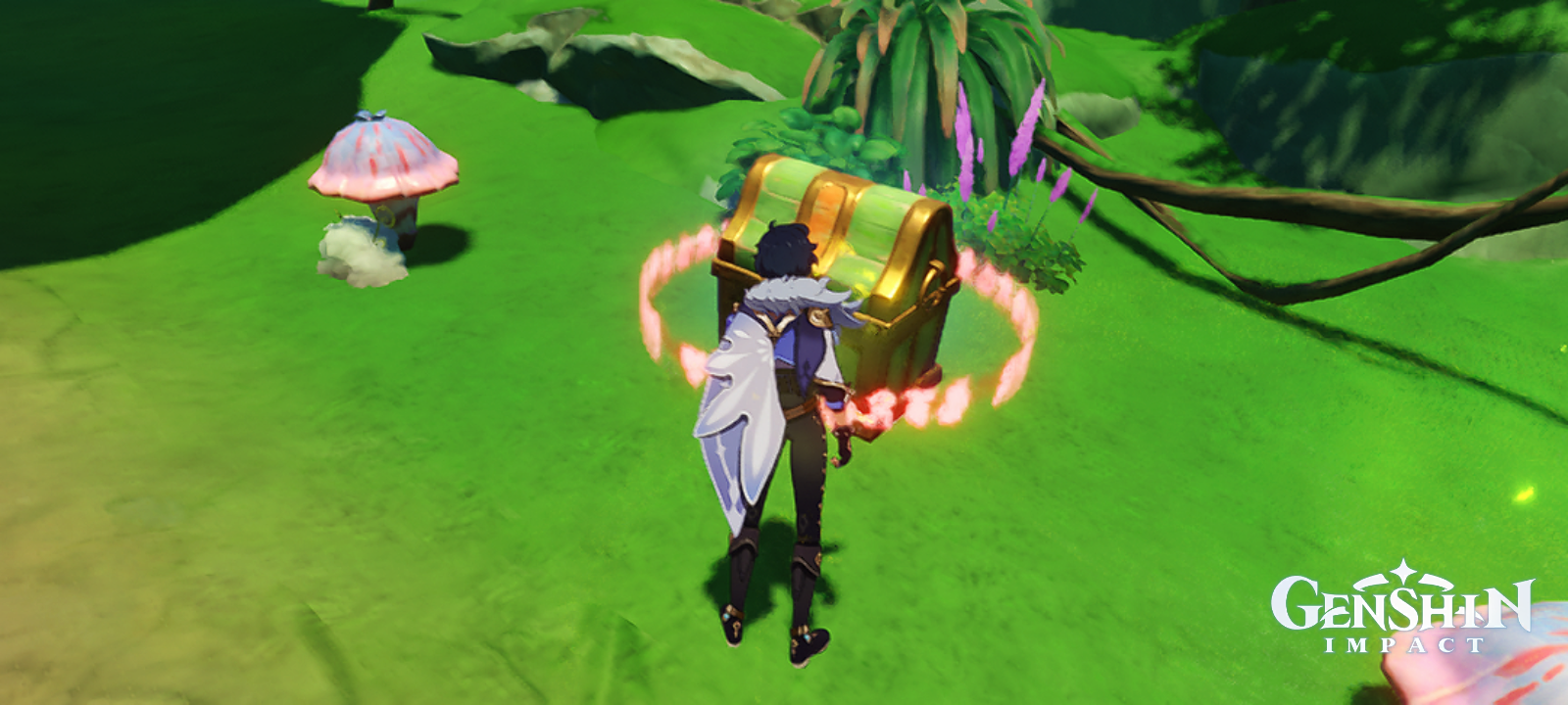 Remarkable Chest Location Part 2 Genshin Impact HoYoLAB