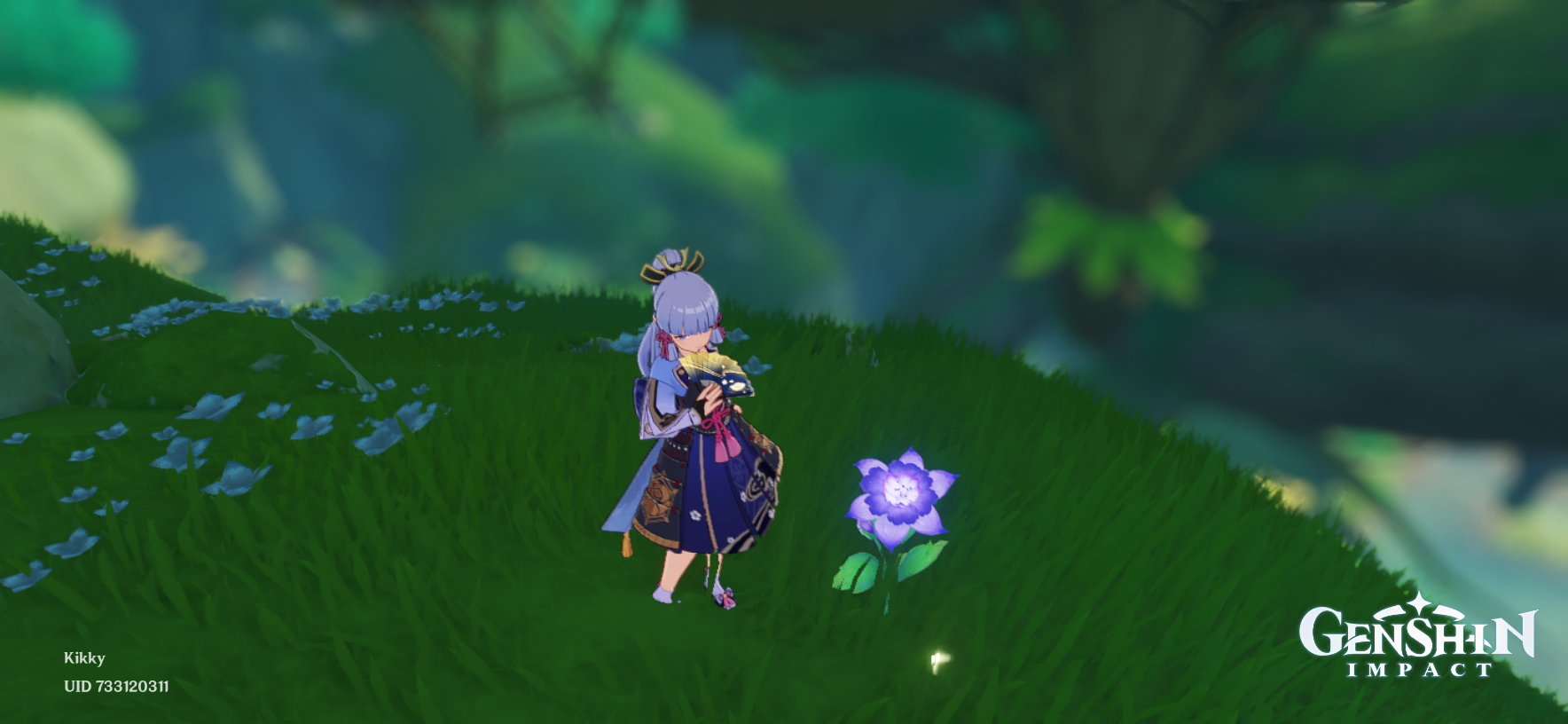 New flower!! Genshin Impact HoYoLAB