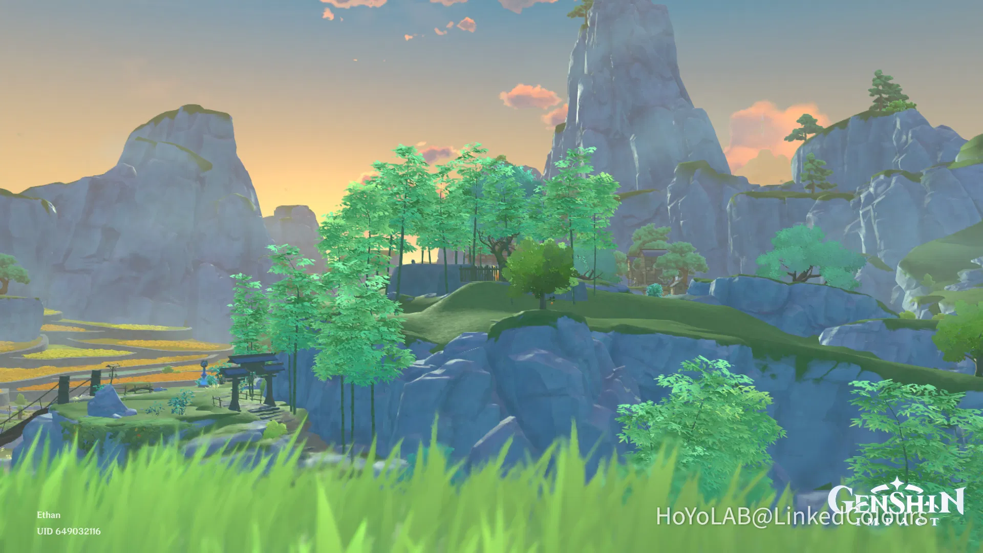 Qingce Village Genshin Impact HoYoLAB