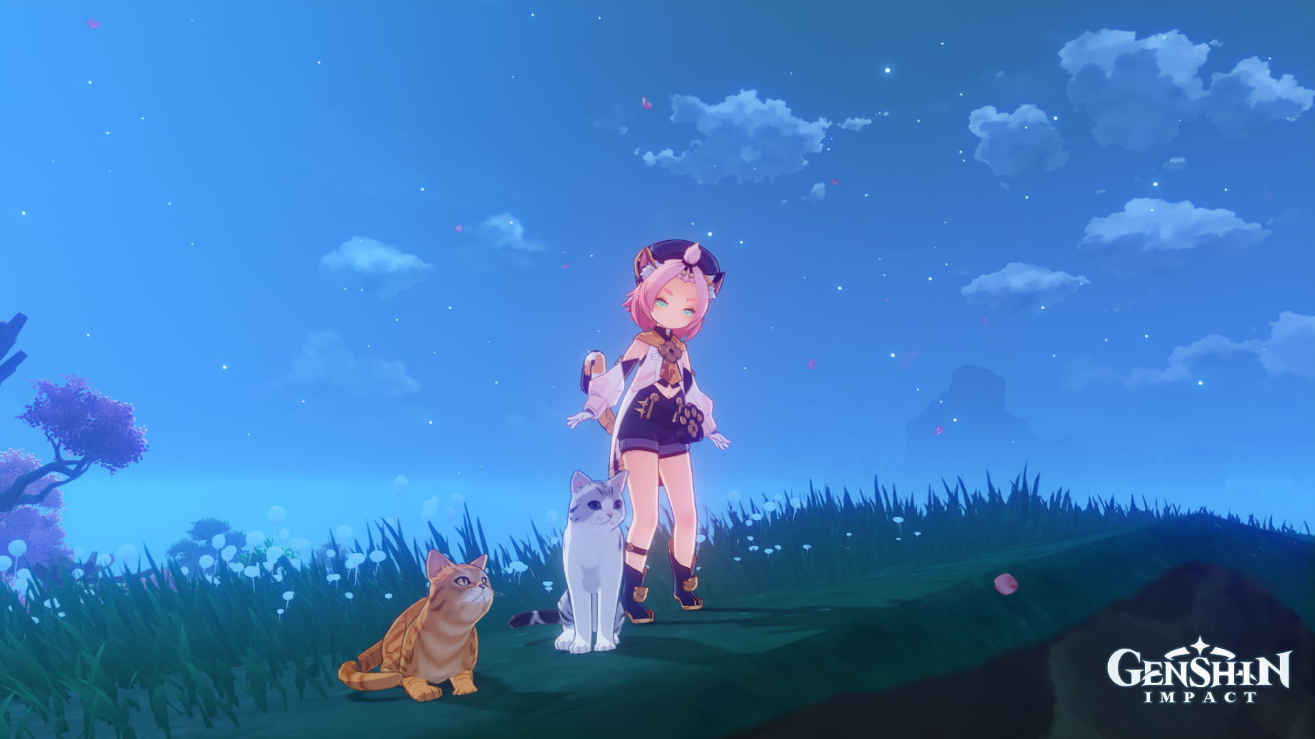 Just me and my three cats Genshin Impact | HoYoLAB