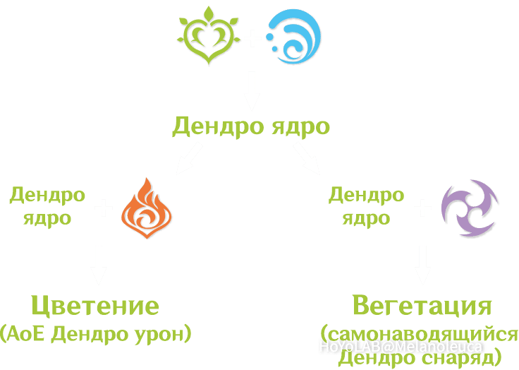 Дендро реакции Genshin Impact | HoYoLAB