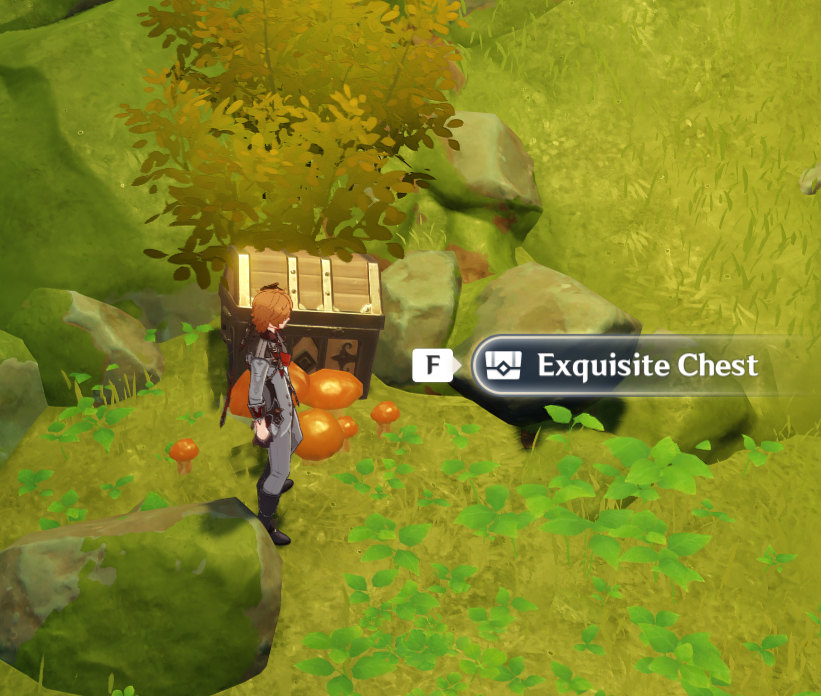 Sumeru hidden chests! Genshin Impact HoYoLAB