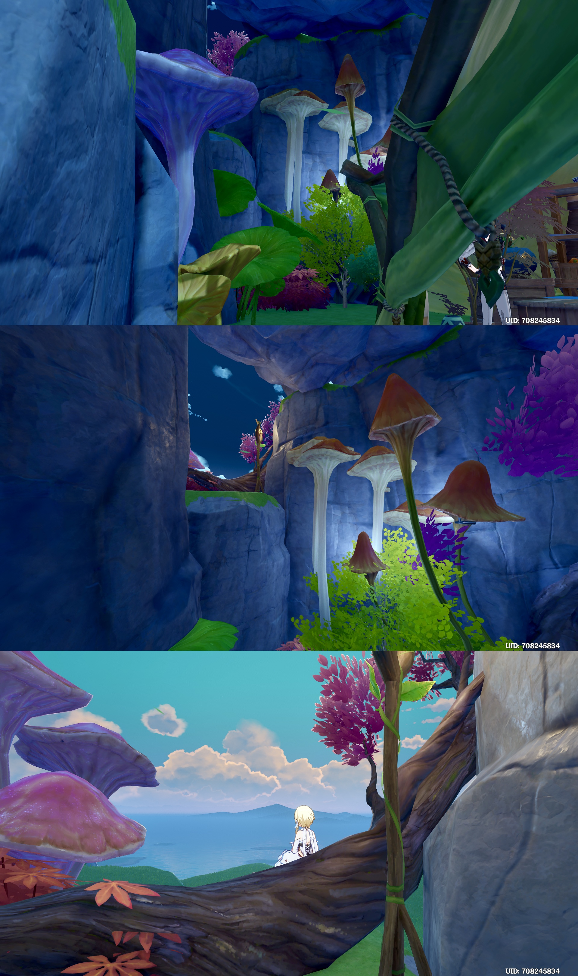 Teapot area Genshin Impact HoYoLAB