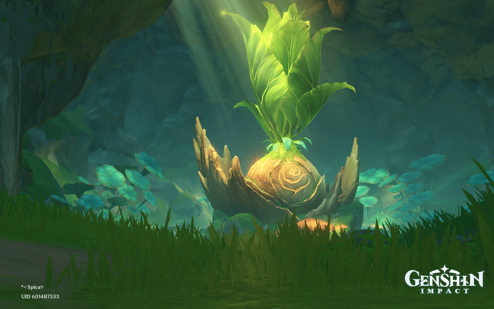 trees & radishes Genshin Impact HoYoLAB