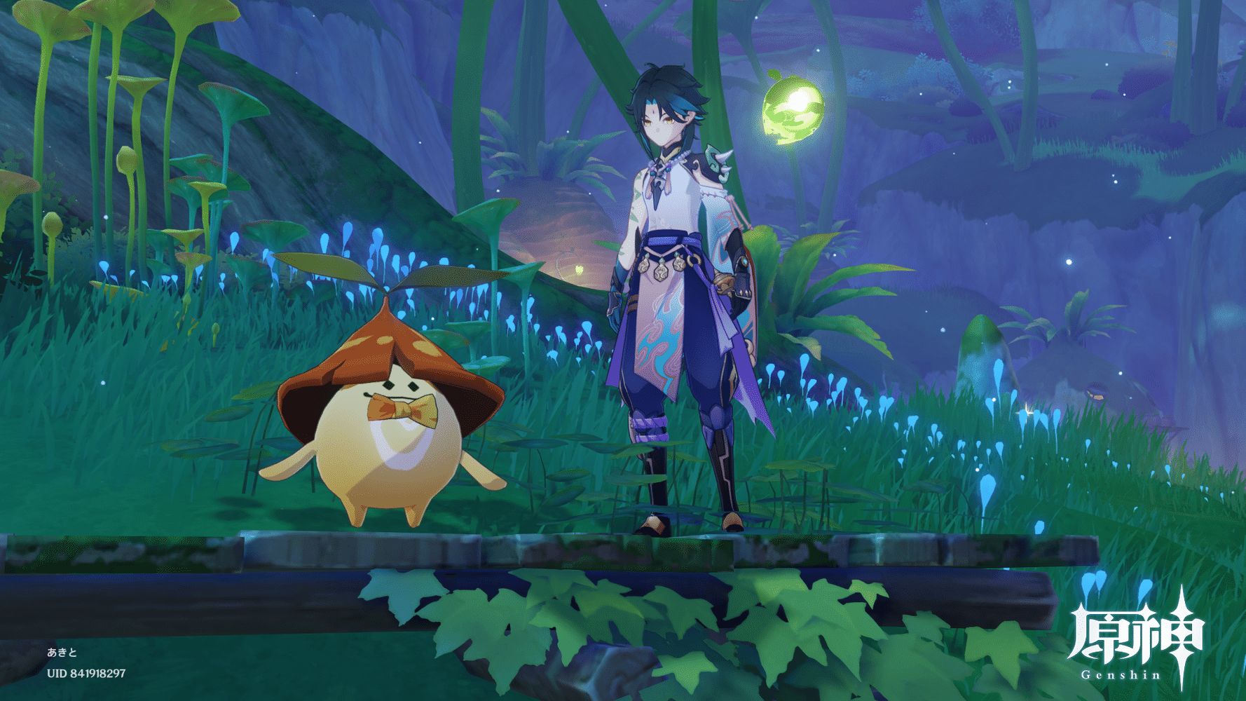 アランナラ記録(( Genshin Impact HoYoLAB