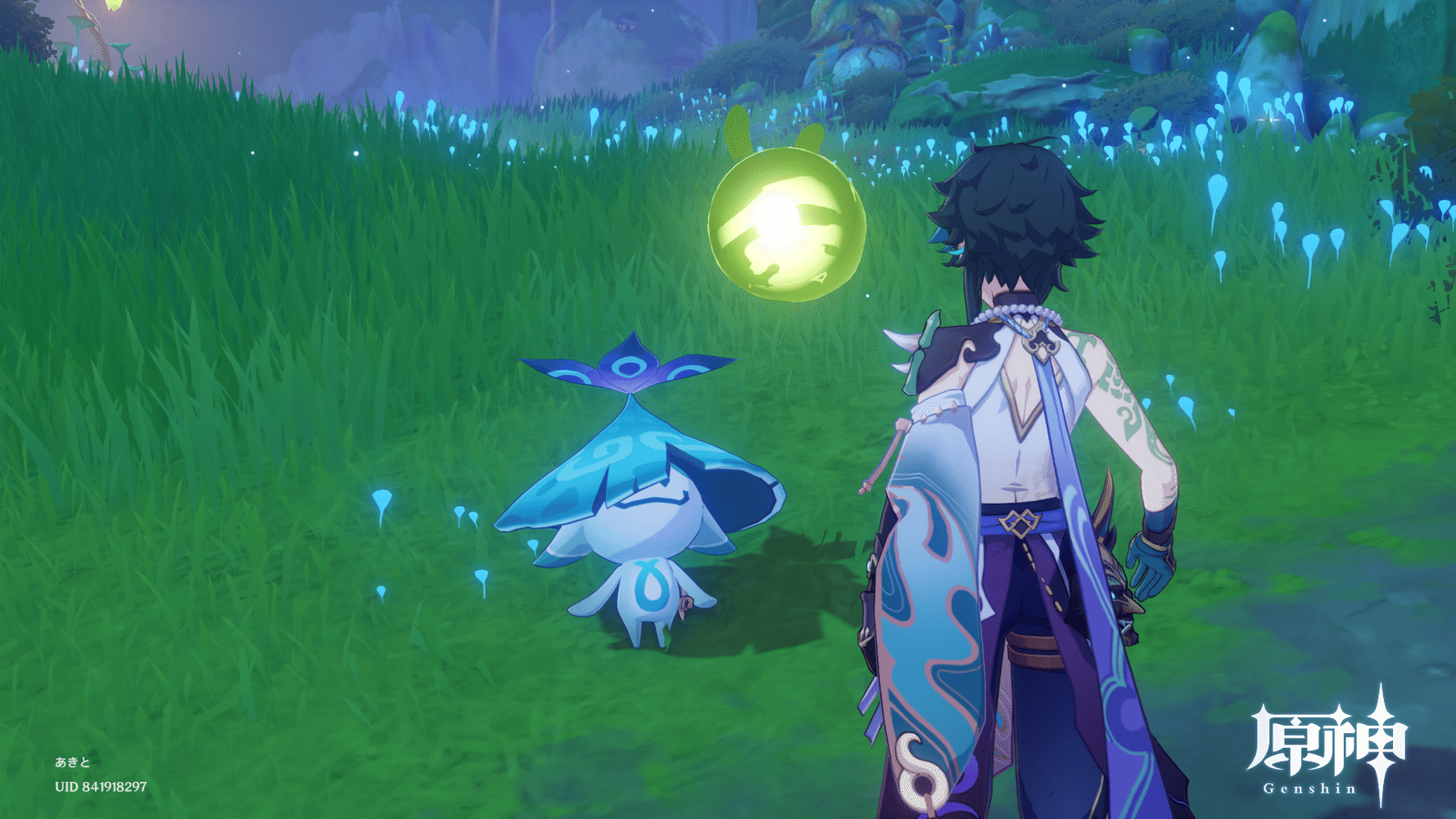 アランナラ記録(( Genshin Impact HoYoLAB