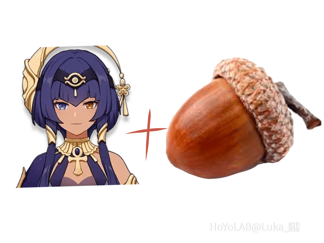 Candace nuts Genshin Impact HoYoLAB