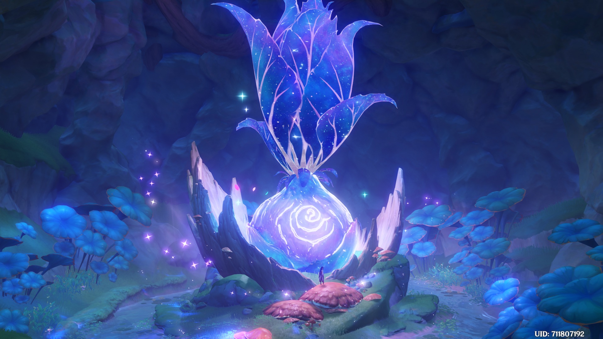 Endless Journey Genshin Impact HoYoLAB