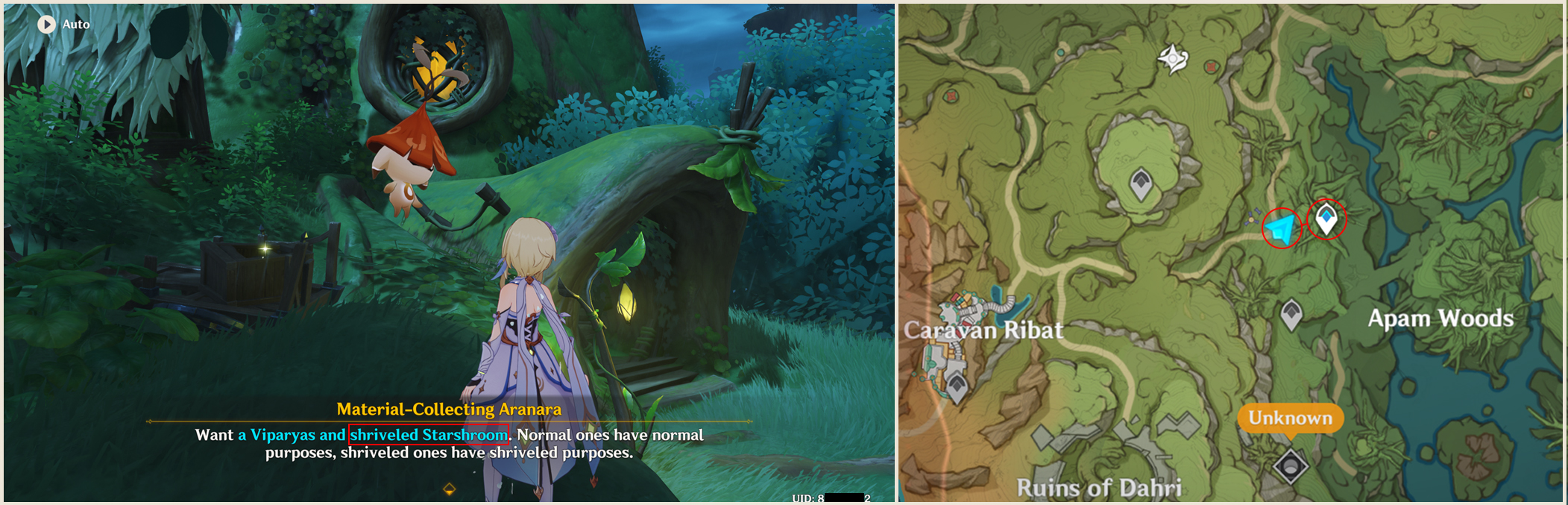 In case you didn't knew (MaterialCollecting Aranara) Genshin Impact