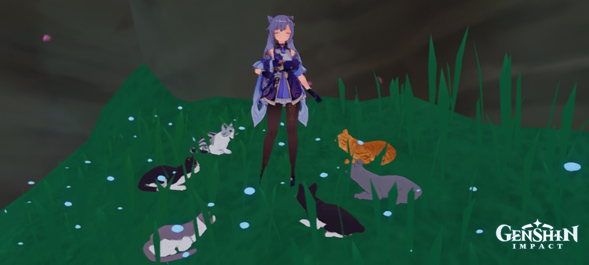 Cats 🐈‍⬛🐈 Genshin Impact | HoYoLAB