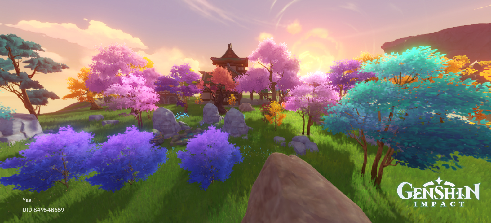 Endless journey Genshin Impact HoYoLAB