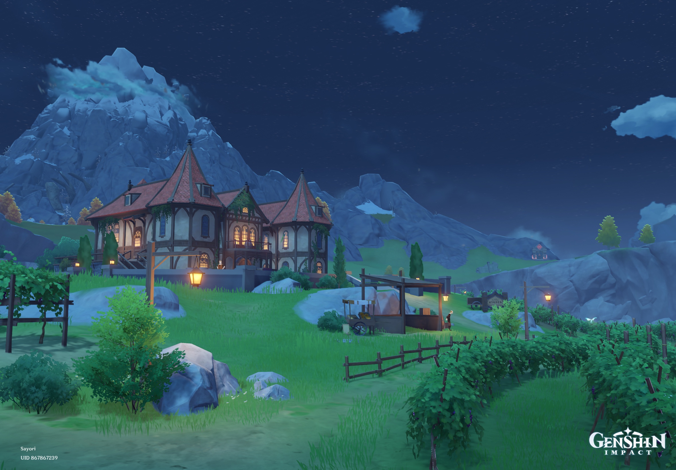 Chilling at the dawn winery Genshin Impact HoYoLAB