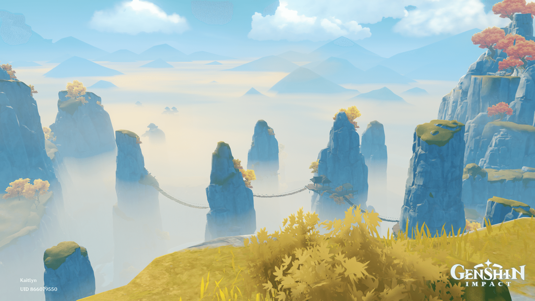 A view from the statue in Minlin Genshin Impact HoYoLAB